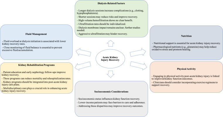 Kidney Recovery after Acute Kidney Injury: A Comprehensive Review.