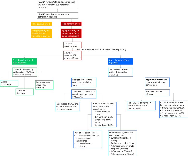 Evaluating the pathological and clinical implications of errors made by an artificial intelligence colon biopsy screening tool.