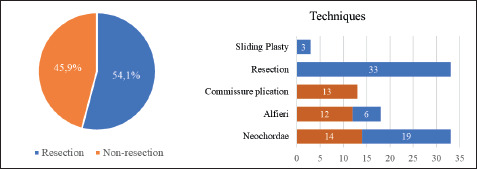 Early Results of Minimally Invasive Mitral Valve Repair with Non-Resection Techniques in the Treatment of Barlow Disease.