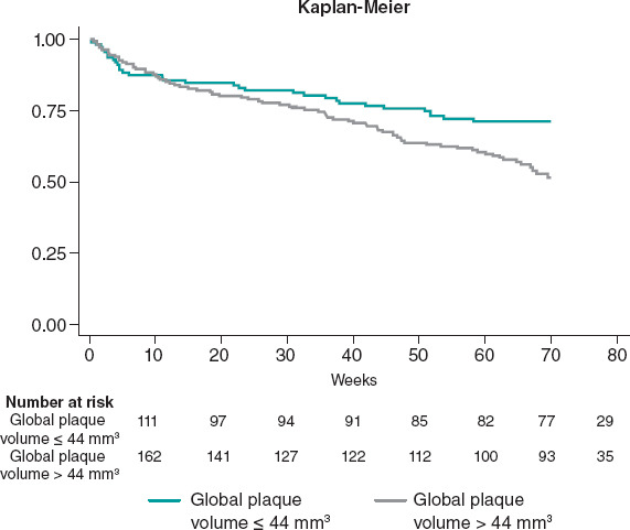 [[Prognostic value of global plaque volume calculated from the 3D reconstruction of the coronary tree in patients without significant coronary artery disease. A multicenter study]].