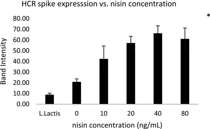 Optimization of growth conditions and the inducer concentration for increasing spike protein expression in recombinant <i>Lactococcus lactis</i> and its kinetic modeling.