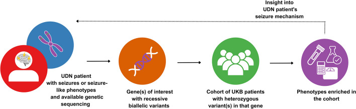 Enriched phenotypes in rare variant carriers suggest pathogenic mechanisms in rare disease patients.