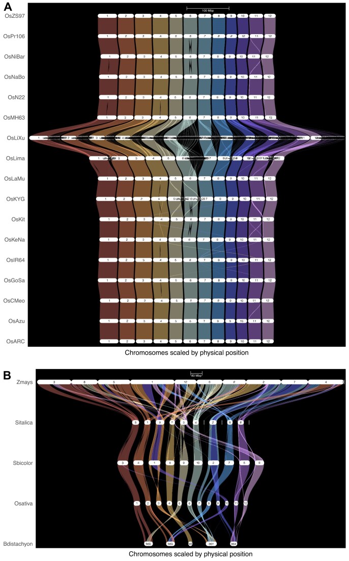 The rice genome annotation project: an updated database for mining the rice genome.
