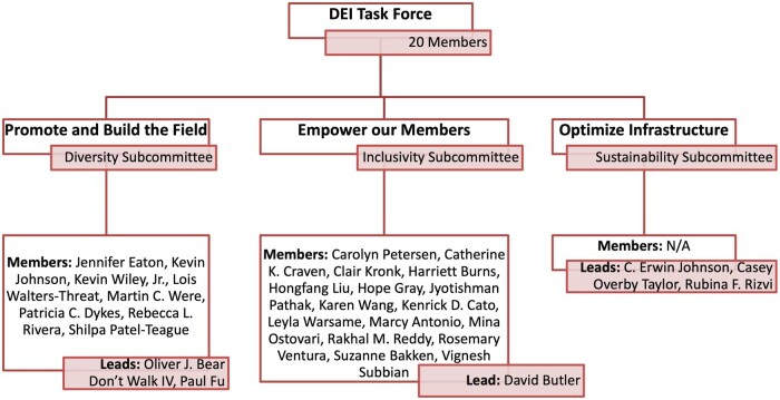 The journey to building a diverse, equitable, and inclusive American Medical Informatics Association.