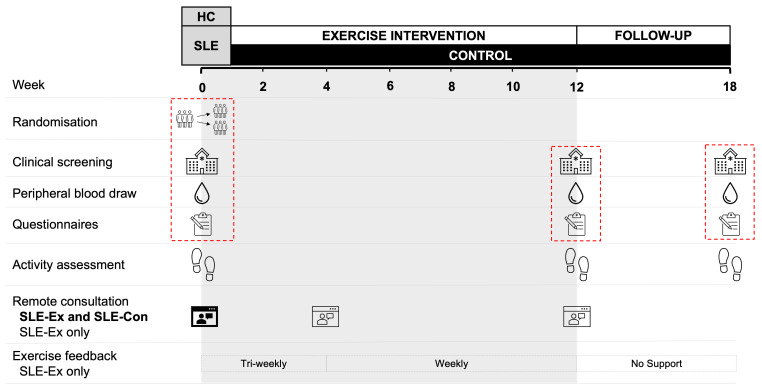 EXamining the feasibility of exerCisE to manage symptoms of Lupus (EXCEL): a protocol for a randomised controlled pilot study.