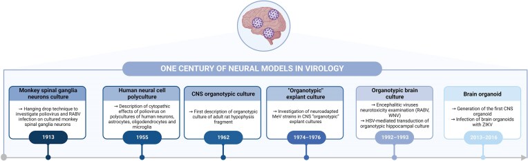 Ex vivo study of neuroinvasive and neurotropic viruses: what is current and what is next.