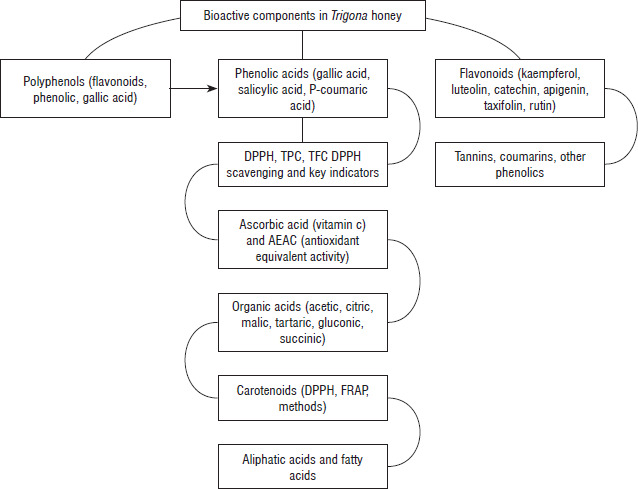 Comparison of antioxidant and antidiabetic properties of meliponine honey from different stingless bee species and origins: a scoping review.