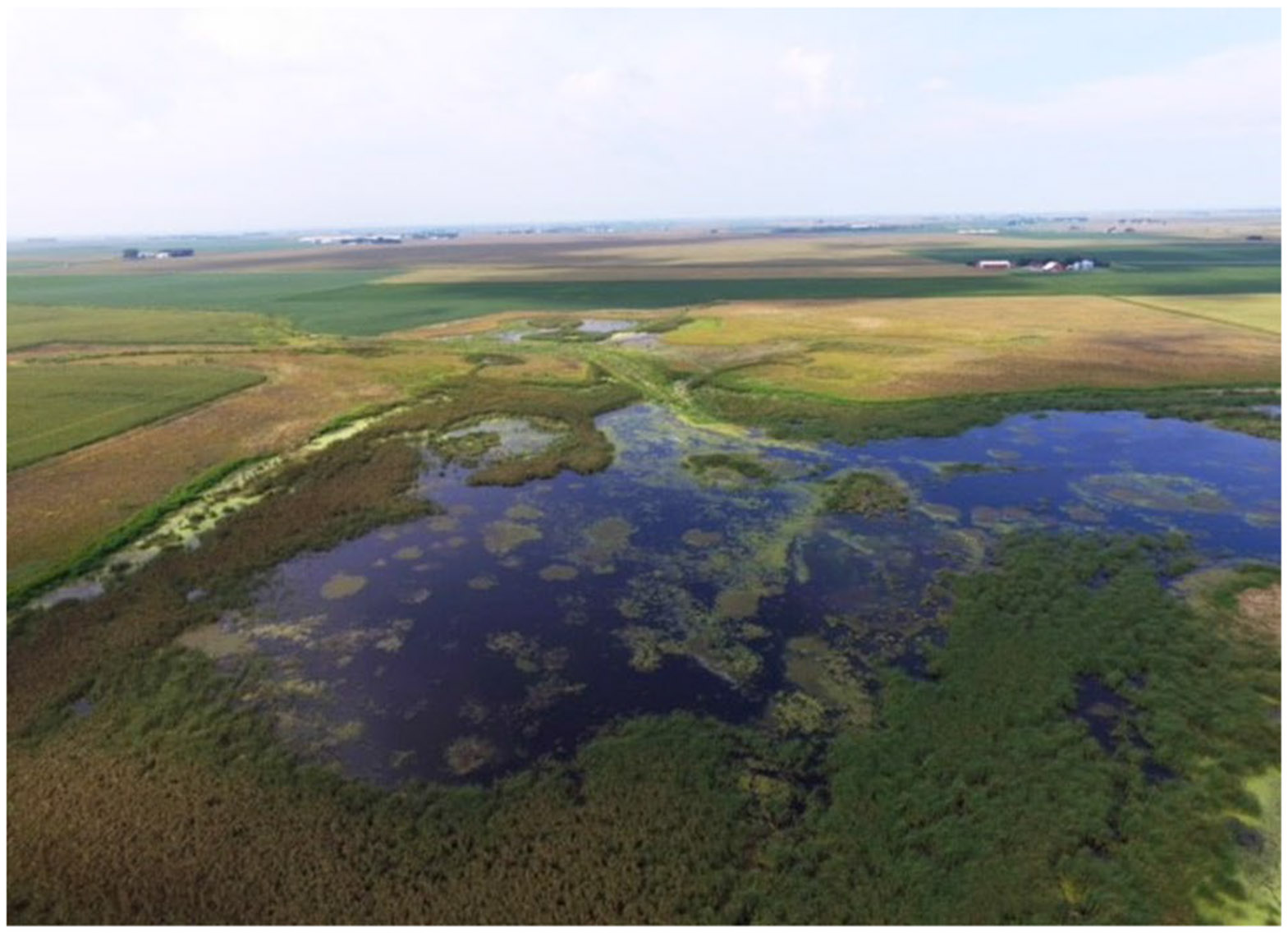 Modeling Wetland Resources for Spring Migratory Waterbirds Under Different Agricultural Management Scenarios in the Iowa Portion of the Prairie Pothole Region, USA.