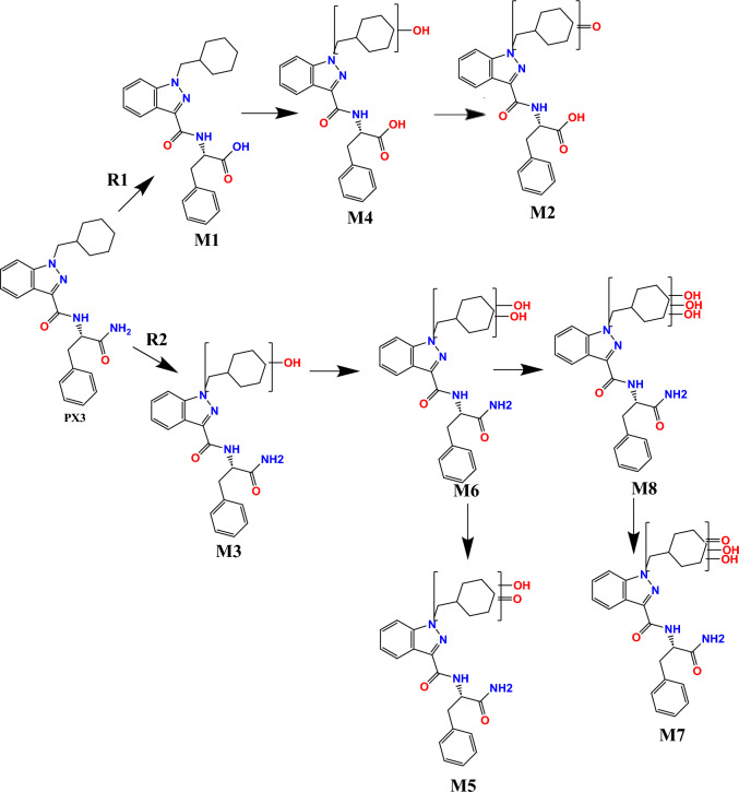 Metabolic profiling of the synthetic cannabinoid APP-CHMINACA (PX-3) as studied by in vitro and in vivo models.