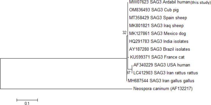 Serological Evaluation and Molecular Genotyping of <i>Toxoplasma gondii</i> in Pregnant Women in Meshkin-Shahr District, Northwestern Iran.