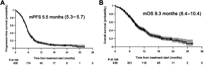 First-Line Chemo-Immunotherapy in SCLC: Outcomes of a Binational Real-World Study