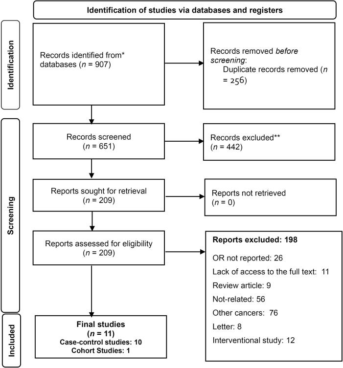 The Effect of Opioid Use on Esophageal Cancer: A Systematic Review and Meta-analysis.