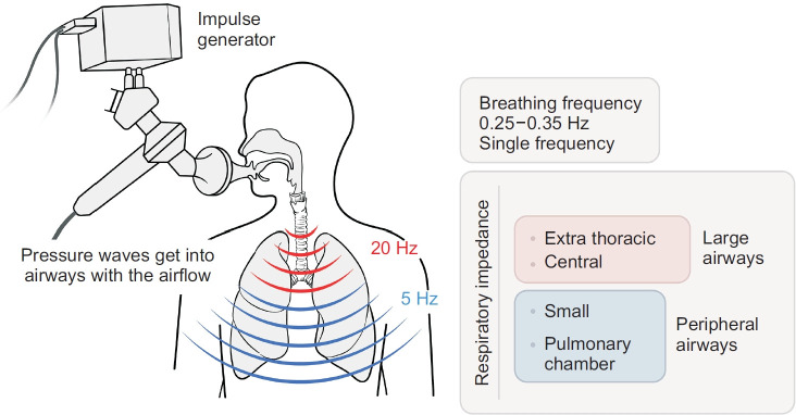 Beyond the Spirometry: New Diagnostic Modalities in Chronic Obstructive Pulmonary Disease.