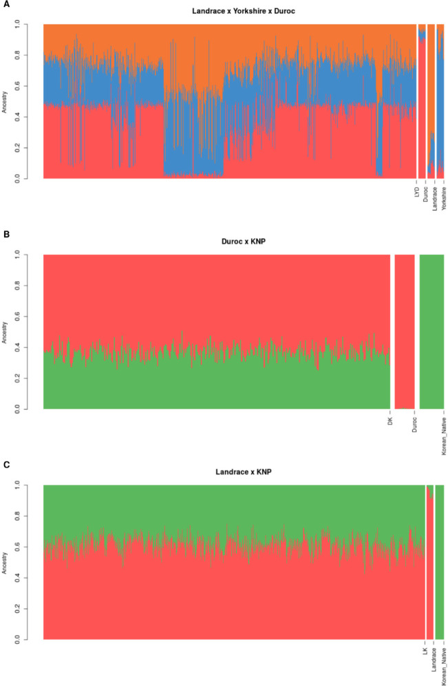 Effect of breed composition in genomic prediction using crossbred pig reference population.