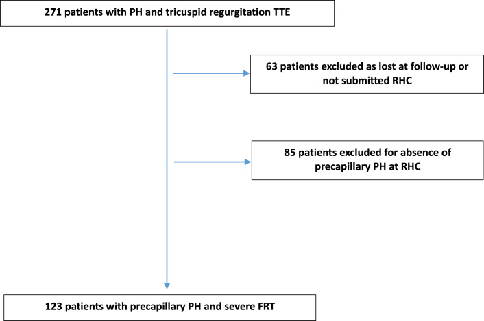 Potential Use of Systolic Pulmonary Artery Pressure/Pulmonary Artery Acceleration Time Ratio in Severe Functional Tricuspid Regurgitation with Pulmonary Hypertension.