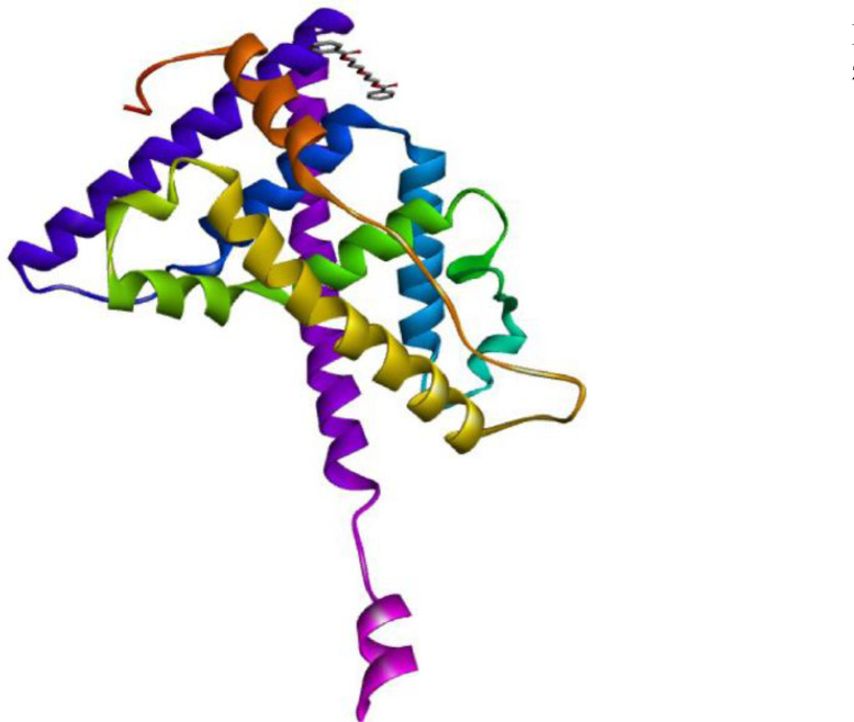 <i>Moringa oleifera</i> Docking to Estrogen Receptor α Ameliorates Placental and Brain Damage in Stressed Rats.