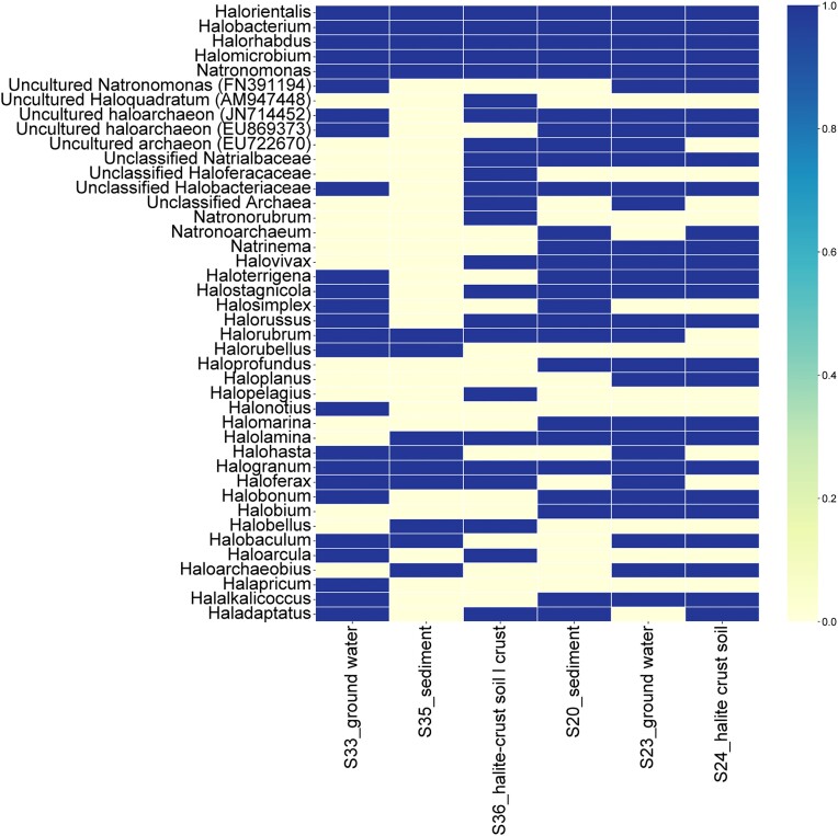 Metataxonomic analysis of halophilic archaea community in two geothermal oases in the southern Tunisian Sahara.