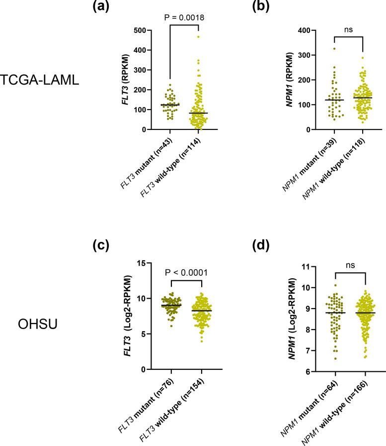 FLT3 and NPM1 mRNA expression-based risk stratification of de novo acute Myeloid Leukemia