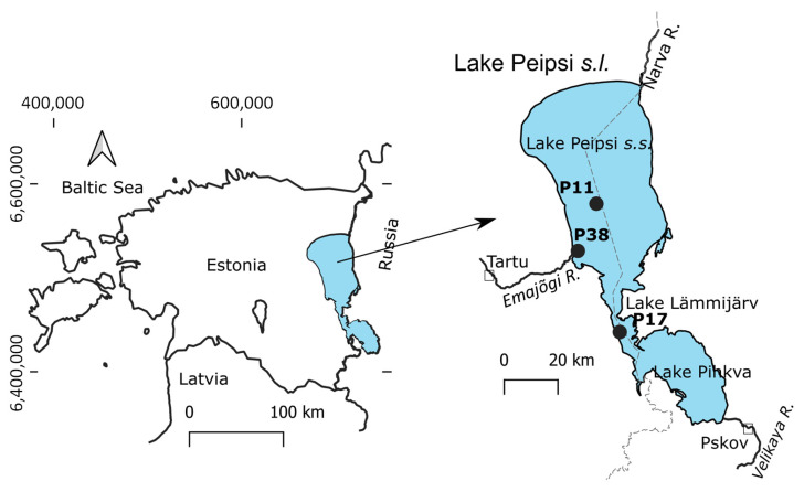 Abstract Image