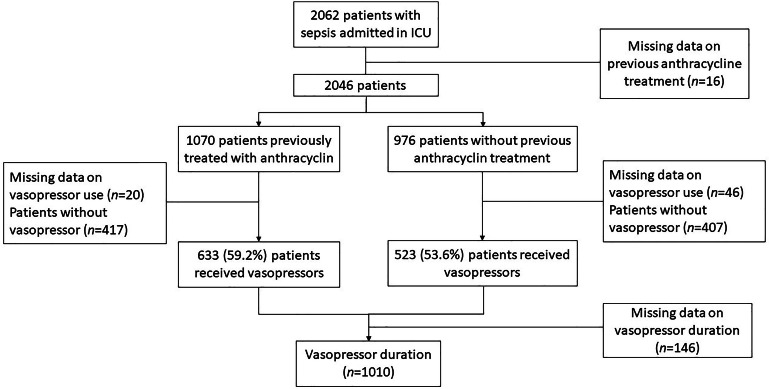Previous treatment with anthracycline does not affect the course of sepsis in cancer patients: Retrospective cohort study