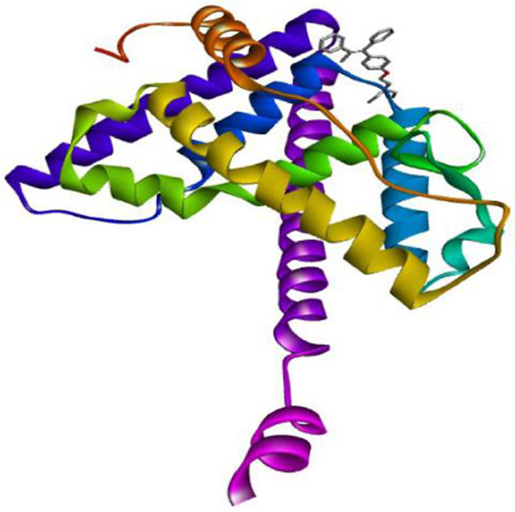 <i>Moringa oleifera</i> Docking to Estrogen Receptor α Ameliorates Placental and Brain Damage in Stressed Rats.