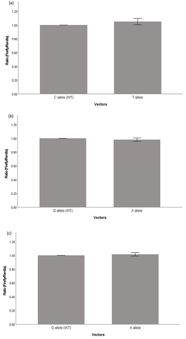 Functional significance of some common oxytocin receptor SNPs involved in complex human traits.