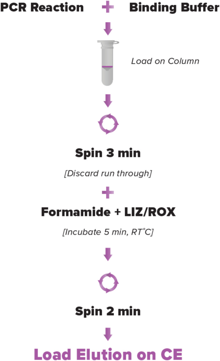 Enhancing trace DNA profile recovery in forensic casework using the amplicon RX post-PCR clean-up kit.