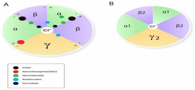 The Role of GABA Receptors in Anesthesia and Sedation: An Updated Review.