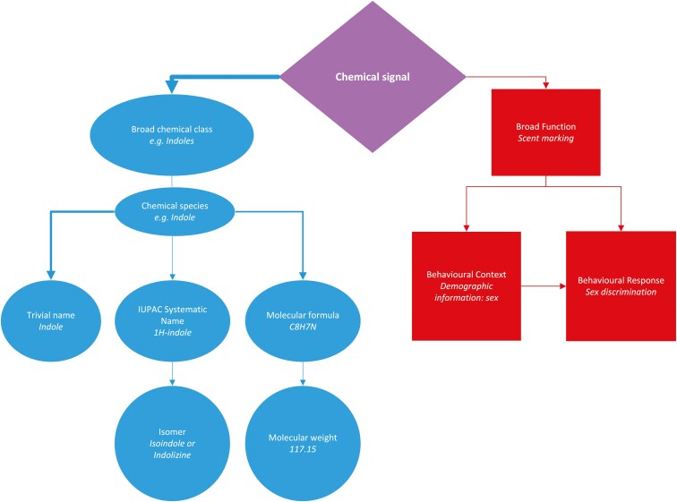 Common scents? A review of potentially shared chemical signals in the order Carnivora.