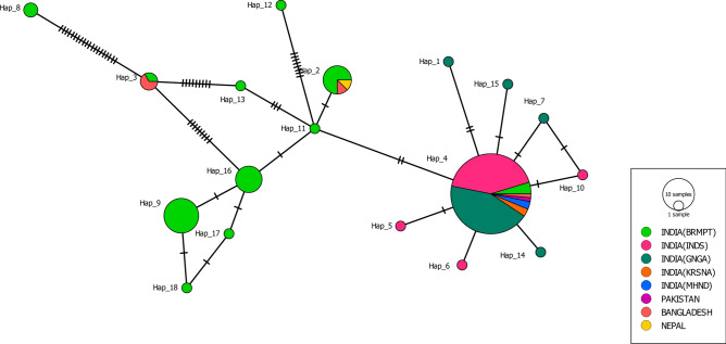 In silico analysis of mitochondrial DNA genes: implication for conservation of Tor putitora (Hamilton, 1822).