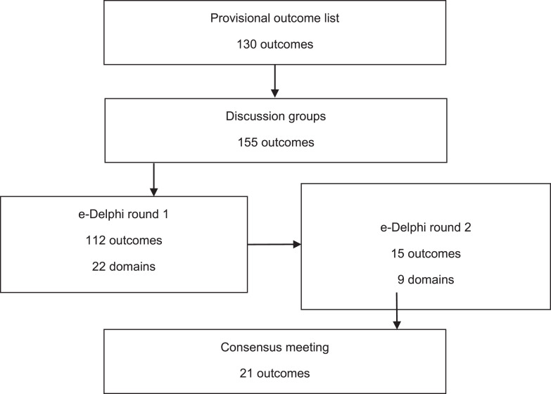 Developing a Core Outcome Set for Netherton Syndrome: An International Multi-Stakeholder e-Delphi Consensus Study.