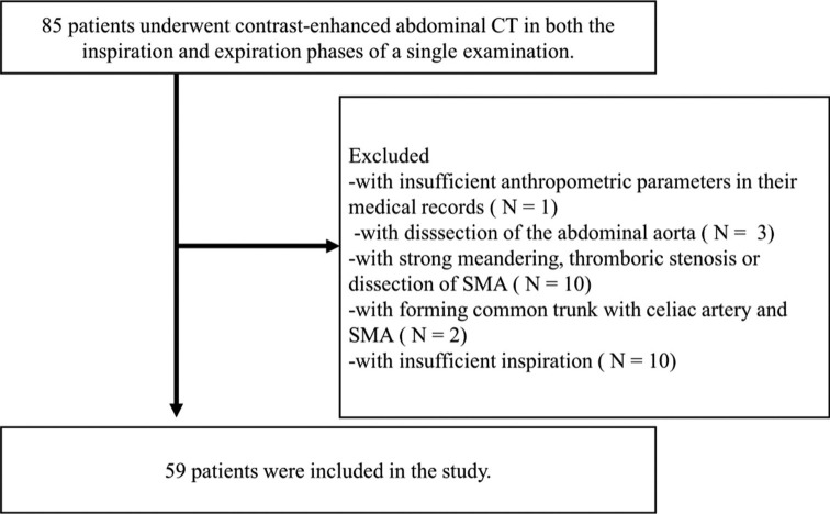 Aortomesenteric angle: A contrast-enhanced computed tomography analysis of respiratory phase and visceral fat impact.