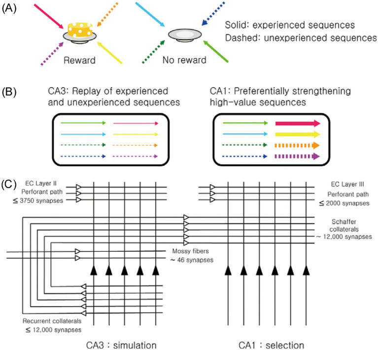 Memory consolidation from a reinforcement learning perspective.