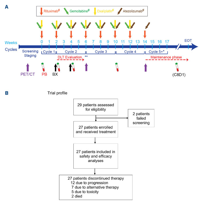 Atezolizumab combined with immunogenic salvage chemoimmunotherapy in patients with transformed diffuse large B-cell lymphoma.