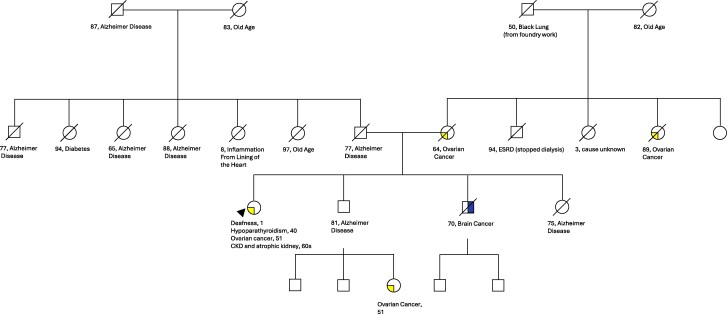 Diagnosing Hypoparathyroidism, Sensorineural Deafness, and Renal Dysplasia Syndrome and a Novel <i>GATA3</i> Variant.