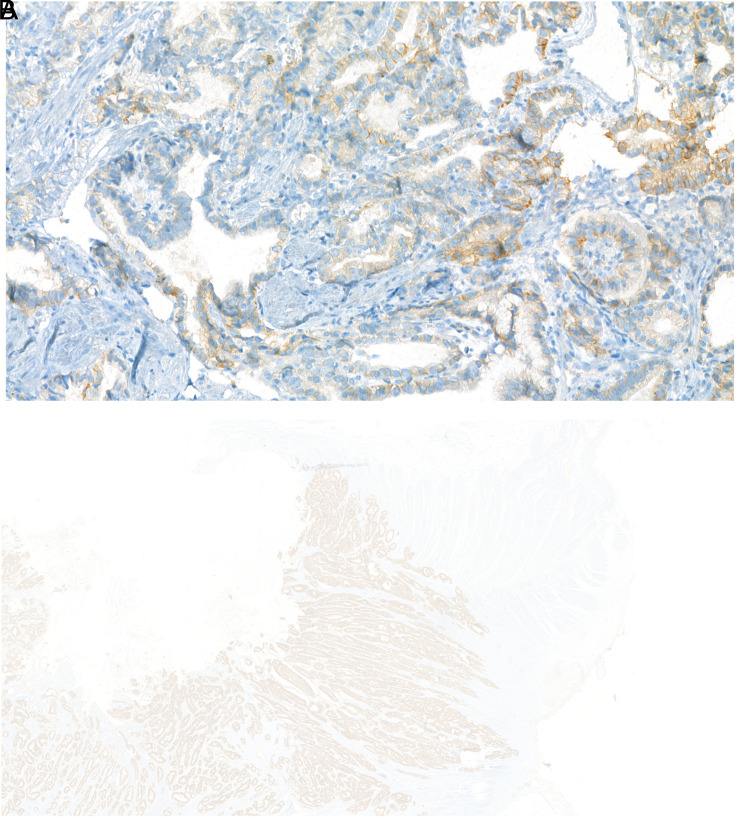 Abstract Image