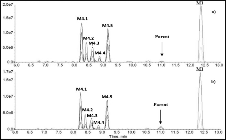 Metabolic profiling of the synthetic cannabinoid APP-CHMINACA (PX-3) as studied by in vitro and in vivo models.