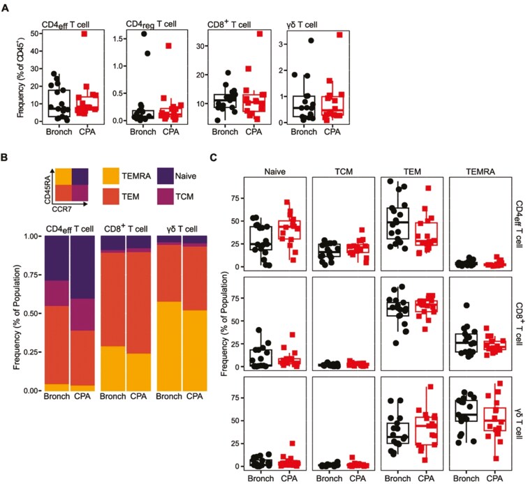 Dendritic cell dysfunction, including impaired IL-12 production, is associated with chronic pulmonary aspergillosis.