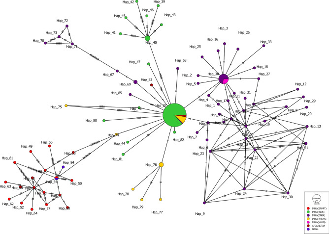 In silico analysis of mitochondrial DNA genes: implication for conservation of Tor putitora (Hamilton, 1822).