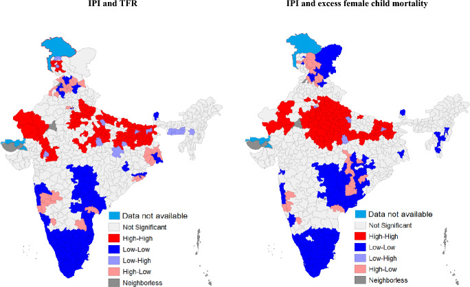 Patriarchy, Fertility and Excess Female Child Mortality in India.