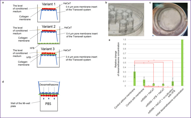 The Development of Inner Ear Membrane Analog for Experimental Otorhinolaryngology.