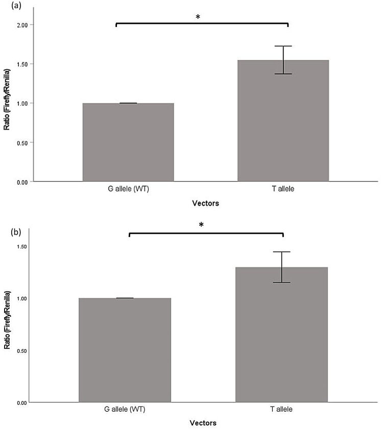 Functional significance of some common oxytocin receptor SNPs involved in complex human traits.