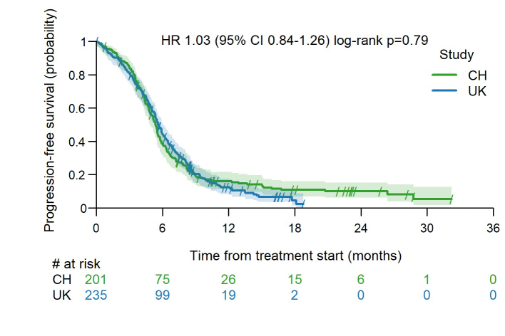 First-Line Chemo-Immunotherapy in SCLC: Outcomes of a Binational Real-World Study