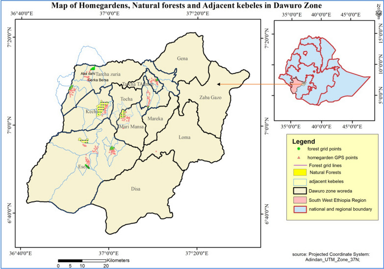 Ethnobotany of vascular plants use, conservation and management practice in the homegardens by the people of Dawuro in Southwestern Ethiopia.