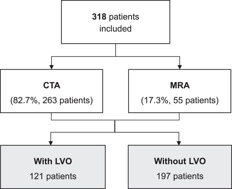 Predictive Value of the Prehospital RACE Scale for Large Vessel Occlusion in Acute Stroke Patients.