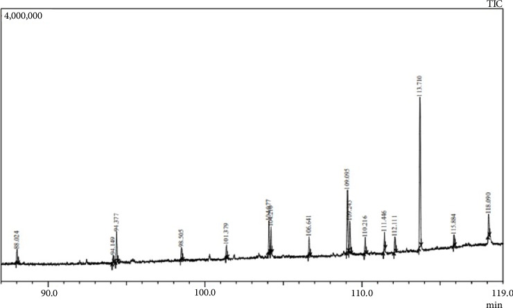 Antibacterial Activity of Peruvian <i>Tarasa</i> Species: A Comparative Study of the Antimicrobial Effects of Extracts From Three Different <i>Tarasa</i> Species, <i>T. capitata</i>, <i>T. operculata</i> and <i>T. tenuis</i>, Against Human Pathogens.