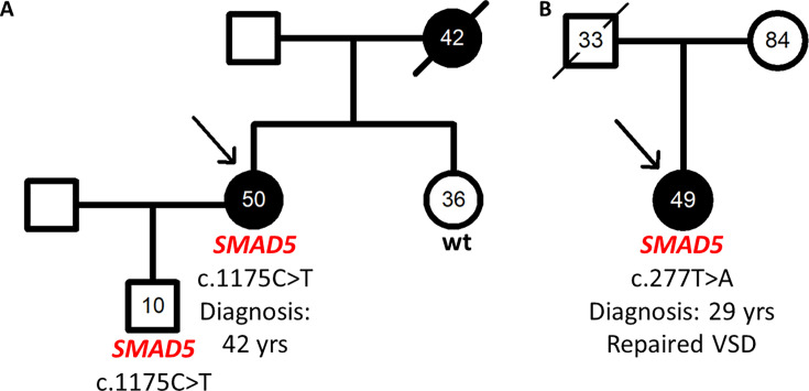 SMAD5 as a novel gene for familial pulmonary arterial hypertension.