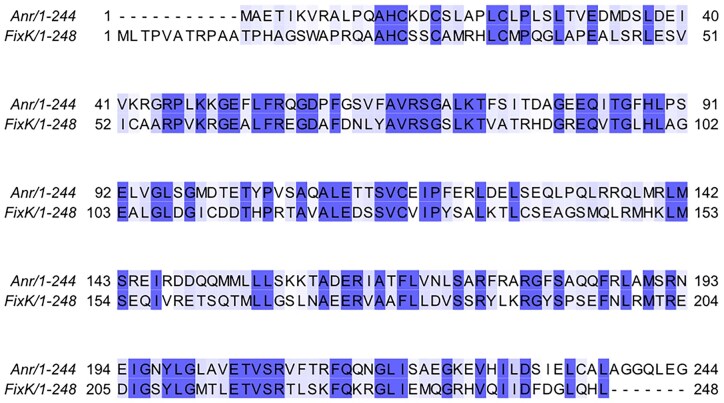 Harnessing hypoxia: bacterial adaptation and chronic infection in cystic fibrosis.