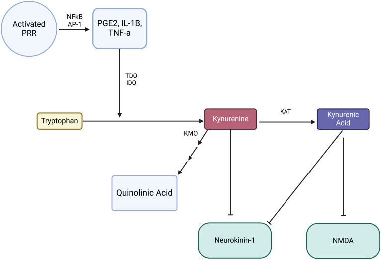 Exploring novel non-opioid pathways and therapeutics for pain modulation.