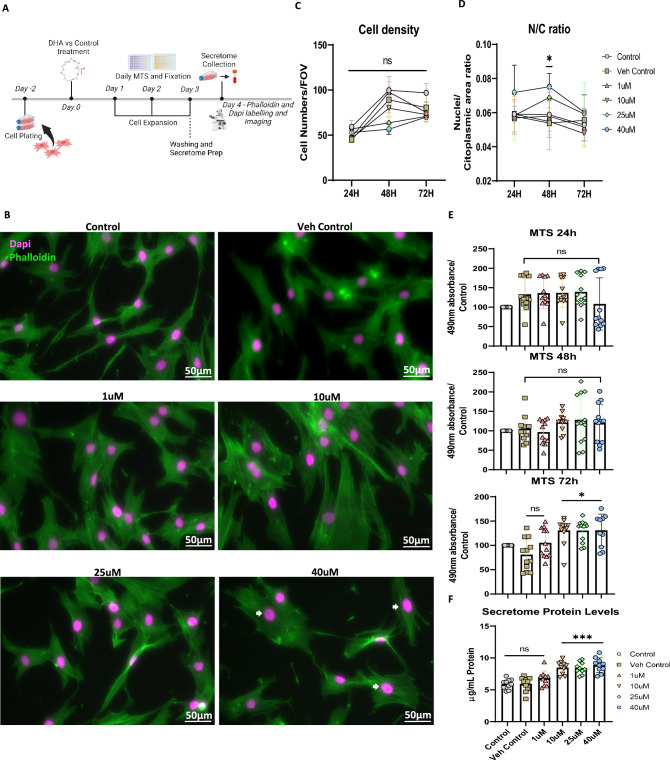 Lipid Priming of Adipose Mesenchymal Stromal Cells with Docosahexaenoic Acid: Impact on Cell Differentiation, Senescence and the Secretome Neuroregulatory Profile.